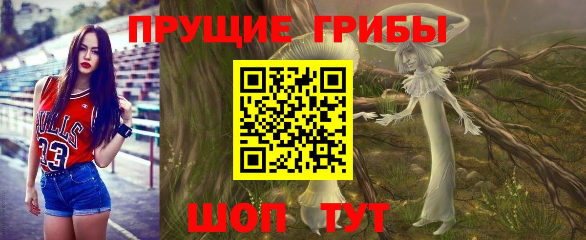 Псилоцибиновые грибы мицелий Волгодонск